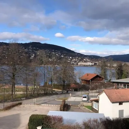 L'aubepine Au Bord Du Vue Directe Sur Le ,borne E A 20m Appartement Gérardmer