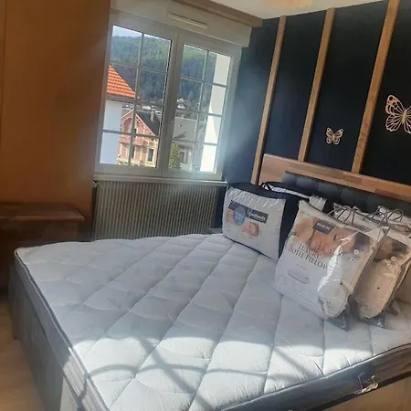 L'aubepine Au Bord Du Vue Directe Sur Le ,borne E A 20m Appartement
