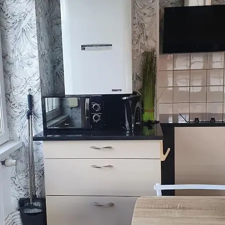 L'aubepine Au Bord Du Vue Directe Sur Le ,borne E A 20m Appartement Gérardmer