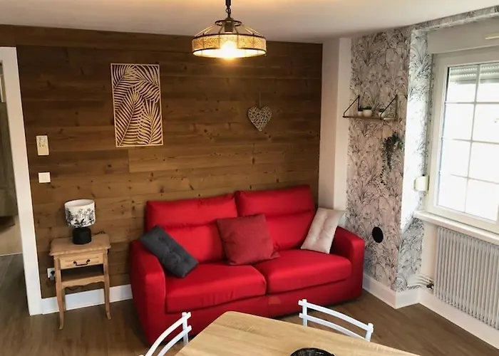 Apartmán L'aubepine Au Bord Du Vue Directe Sur Le ,borne E A 20m *