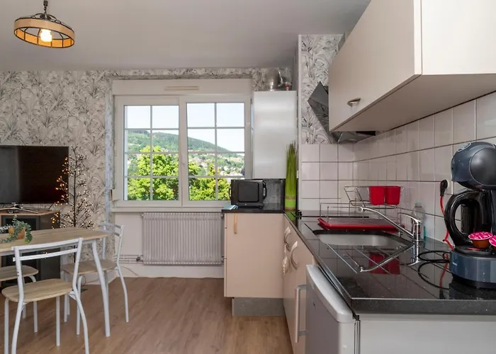 L'aubepine Au Bord Du Vue Directe Sur Le ,borne E A 20m * Gérardmer